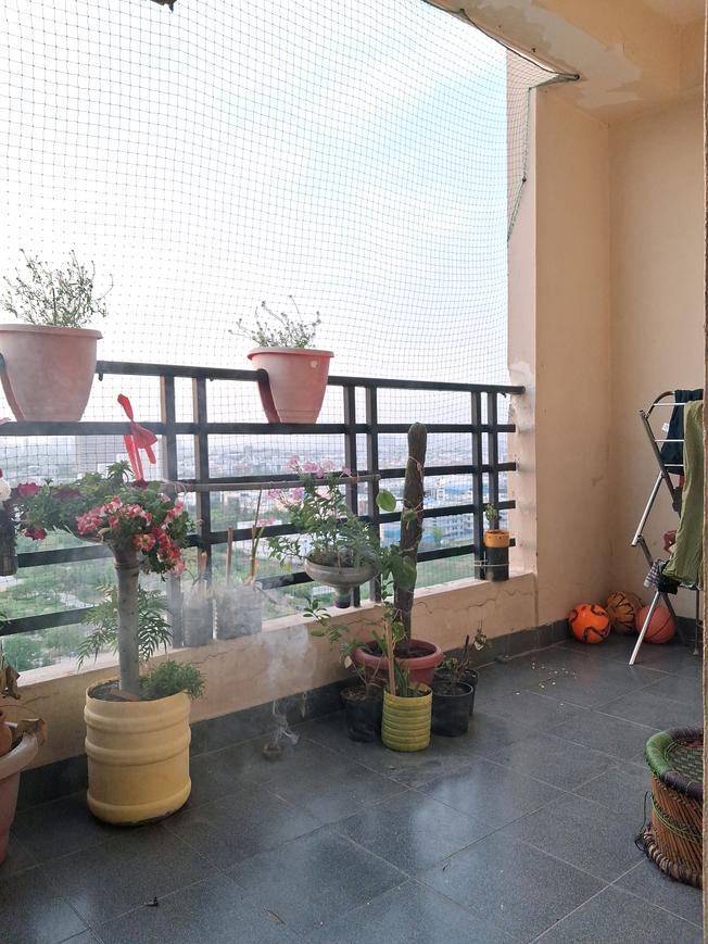 Exotica Fresco - Image 19