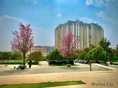1 BHK Apartment