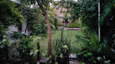 Gallery Cover Image of 11250 Sq.ft 3 BHK Independent House for buy in Kakadeo for 52500000