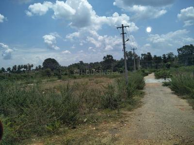 Residential Plot