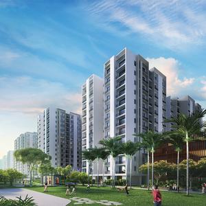 3 BHK Apartment