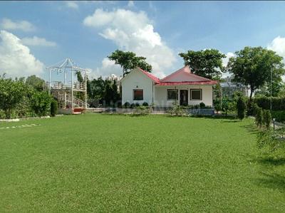 Residential Plot