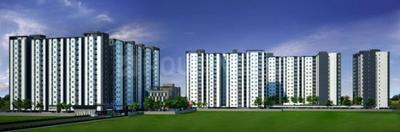 3 BHK Apartment