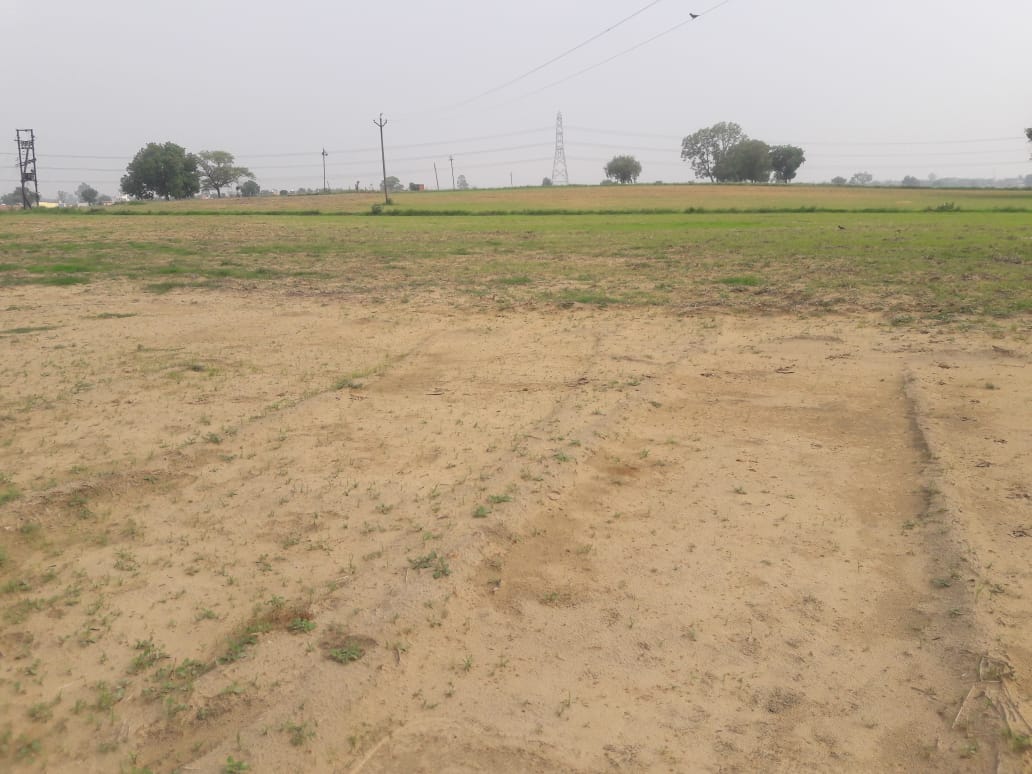 Residential 300 Sqft Plot For Sale At Sadhrana Bamripur Gurgaon Property Id 3973270