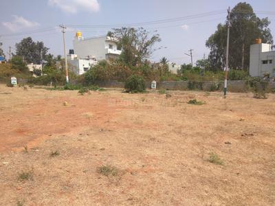 Residential Plot