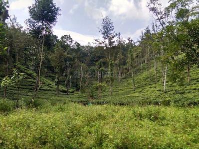 Gallery Cover Image of Sq.ft Residential Plot for buy in Mettupalayam for 37050000