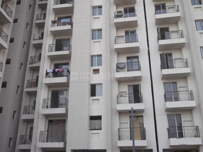 3 BHK Apartment