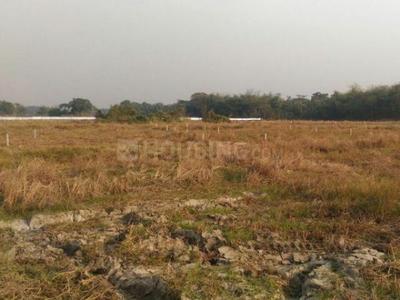 Gallery Cover Image of Sq.ft Residential Plot for buy in Joka for 1000000
