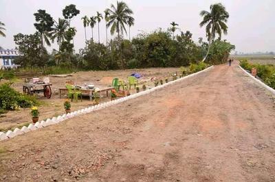 Gallery Cover Image of Sq.ft Residential Plot for buy in Shyamnagar for 1770000