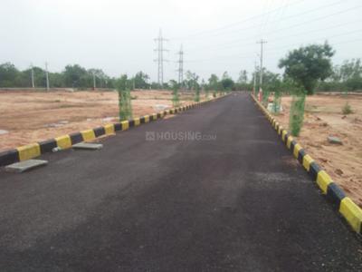 Residential Plot