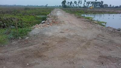 Residential Plot