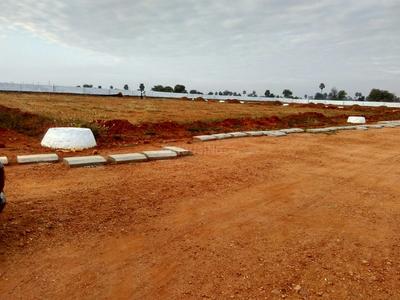Residential Plot