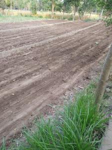 Gallery Cover Image of Sq.ft Residential Plot for buy in Jagjeetpur for 1000000