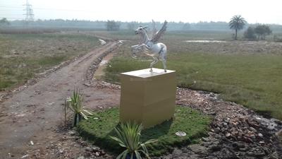 Residential Plot