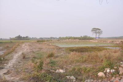 Gallery Cover Image of Sq.ft Residential Plot for buy in Julpia for 1000000
