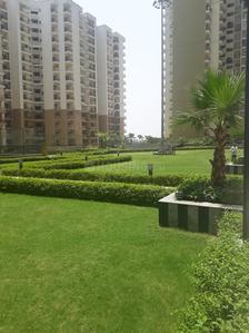 3 BHK Apartment