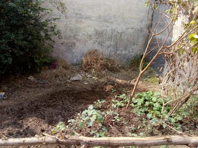 Gallery Cover Image of Sq.ft Residential Plot for buy in Baprola for 600000