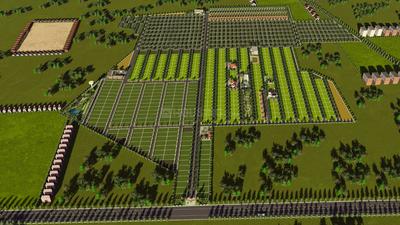 Residential Plot