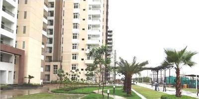 3 BHK Apartment