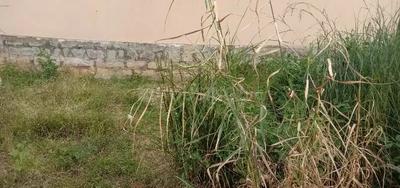 Residential Plot