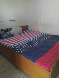 Bedroom Image of Insistence House PG in Sector 15