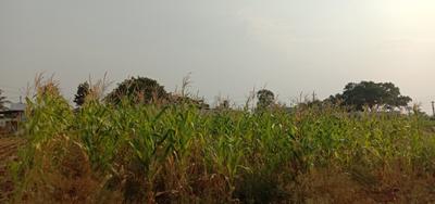 10500 Sq.ft Residential Plot for Sale in Hurulichikanahalli, Bangalore