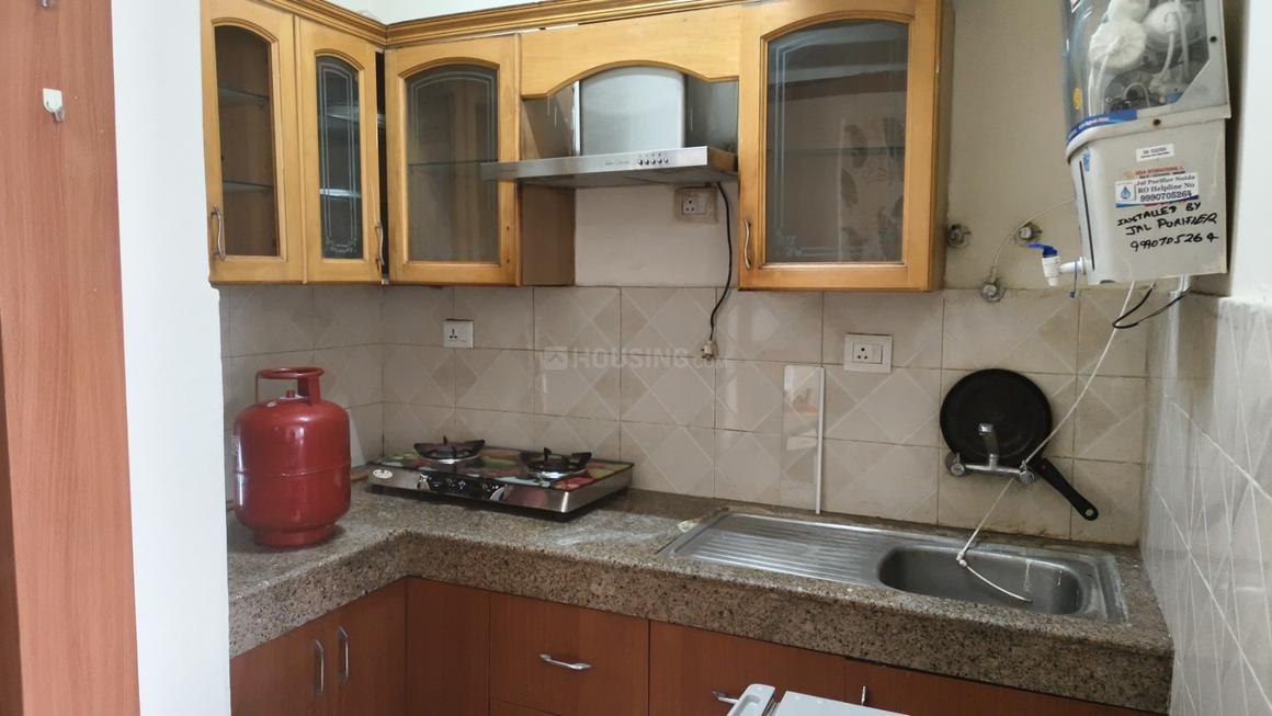 Logix Blossom Zest - Image 13