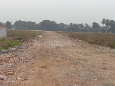 Residential Plot