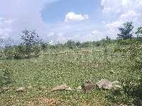 2400 Sq.ft Residential Plot for Sale in Thuraimangalam, Perambalur