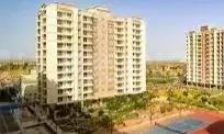 1 BHK Apartment