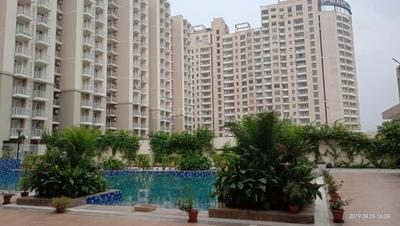 3 BHK Apartment