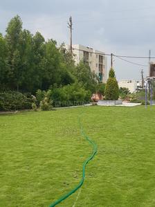 519 Sq.ft Residential Plot for Sale in Rau, Indore