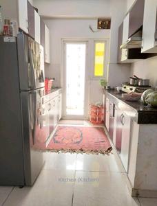 Gallery Cover Image of 925 Sq.ft 2 BHK Apartment for rent in Ajnara Daffodil, Sector 137 for 13000