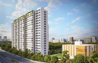 3 BHK Apartment