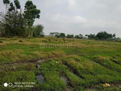 Gallery Cover Image of Sq.ft Residential Plot for buy in Amtala for 140000