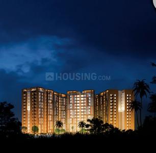3 BHK Apartment