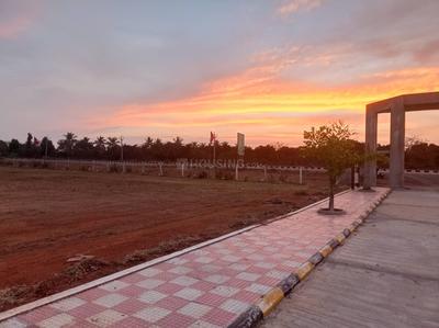 Residential Plot