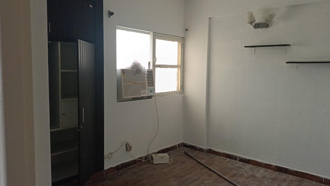 Paras Tierea - Image 10