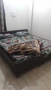 Bedroom Image of Shree Shyam PG in Sector 33