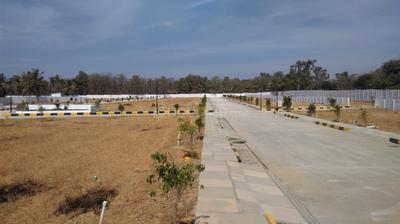 Residential Plot