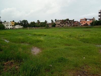Gallery Cover Image of Sq.ft Residential Plot for buy in Amtala for 300000