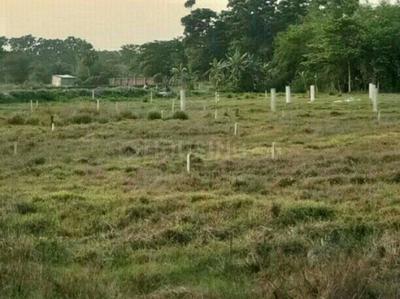 Gallery Cover Image of Sq.ft Residential Plot for buy in Rasapunja for 325000