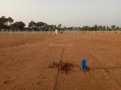 Residential Plot