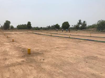 Residential Plot