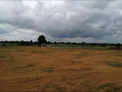 Residential Plot