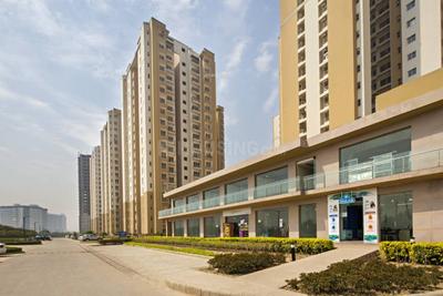 3 BHK Apartment