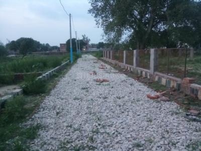 Gallery Cover Image of Sq.ft Residential Plot for buy in Hasanganj for 1300