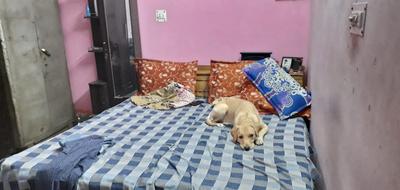 Gallery Cover Image of 445 Sq.ft 2 BHK Independent House for buy in Sector 23 for 3000000