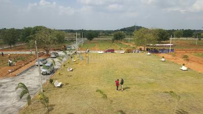 Residential Plot