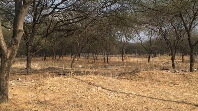 Gallery Cover Image of Sq.ft Residential Plot for buy in Malviya Nagar for 36550000